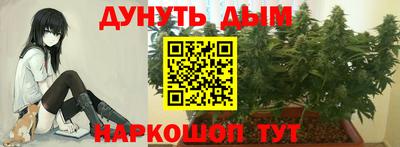 ешки Брянск