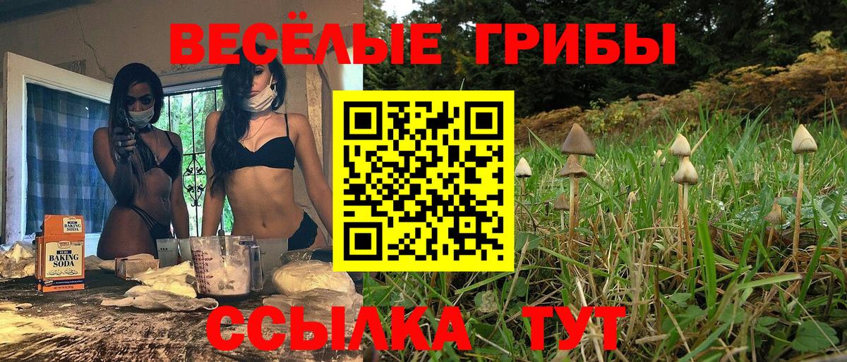 Псилоцибиновые грибы Psilocybine cubensis  Вход с VPN  Белореченск 